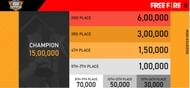 Prize allocation for FFIC 2020